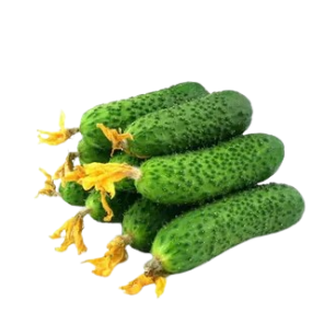Огурцы тепличные 1 кг